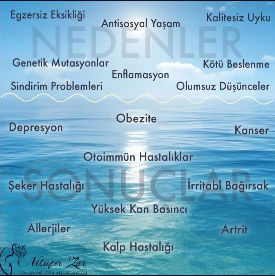 Nilüfer Zar Fonksiyonel Tıp ve Wellness Kulübü