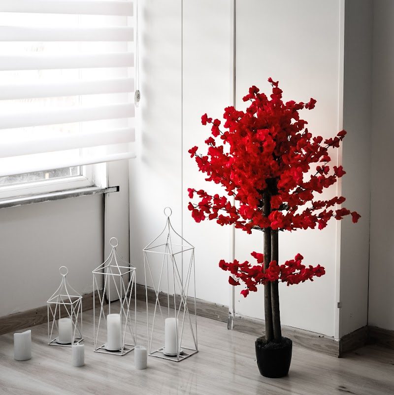 Fit Yoga (Sıcak/Hot Yoga) Stüdyosu