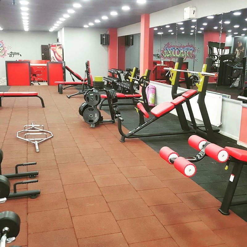Proforce Gym Fitness