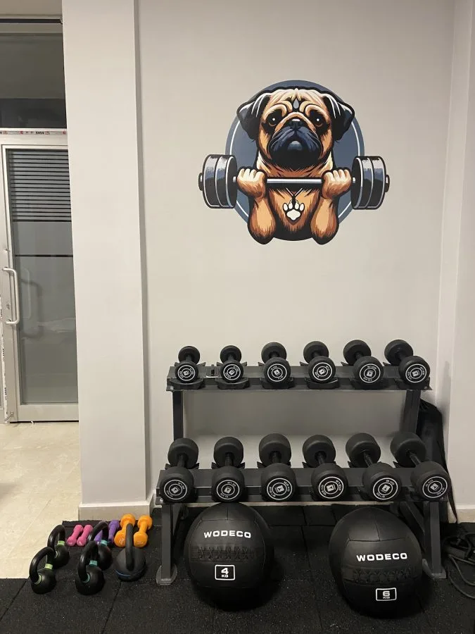 Line Gym Studio