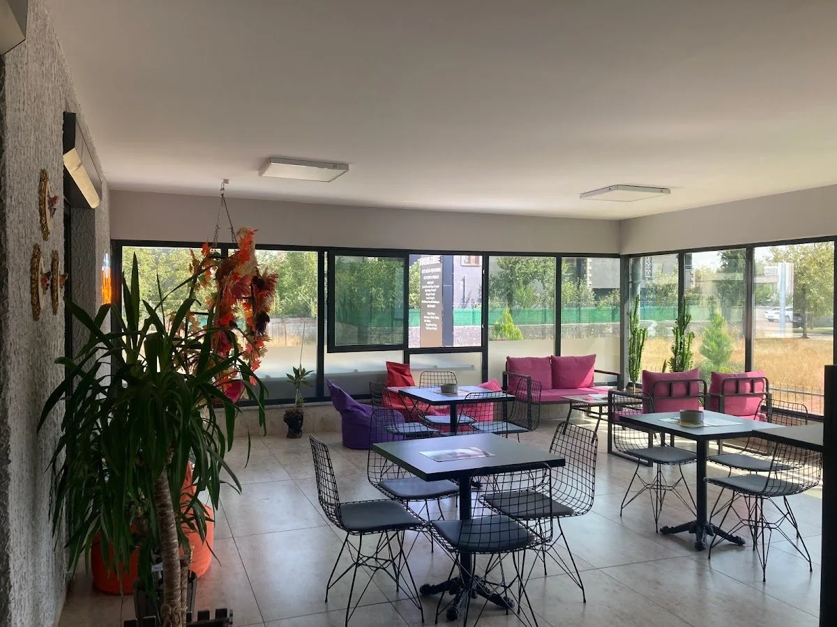 Focus Life Aktif Sağlıklı Yaşam Merkezi