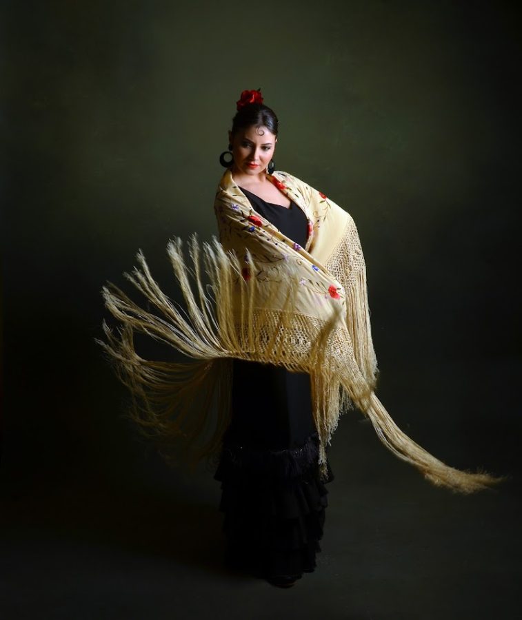 Flamenko Kayseri Dans Stüdyosu