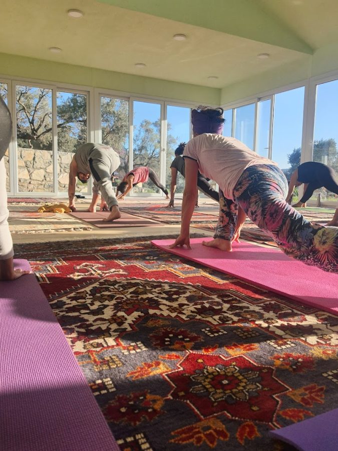 Olive Garden Retreat (Yoga/Meditation Center, Organik Dükkan)