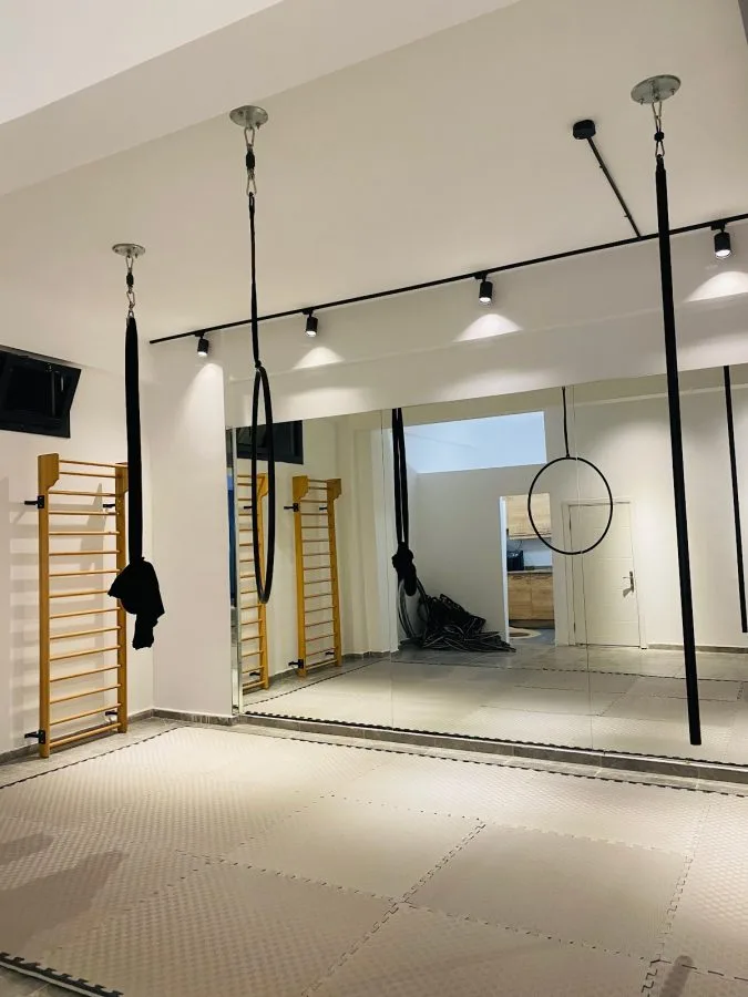 Studio Wild Pole Akademi