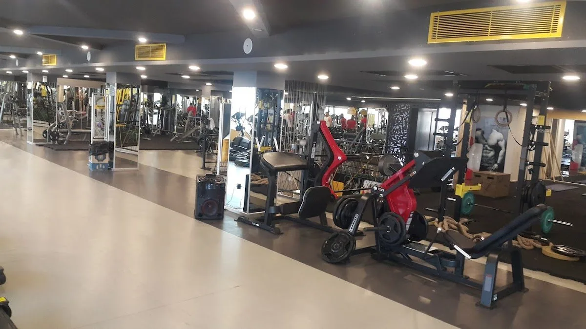 New Energy Fitness & Wellness