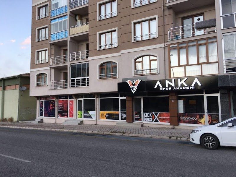 Anka Spor Akademi