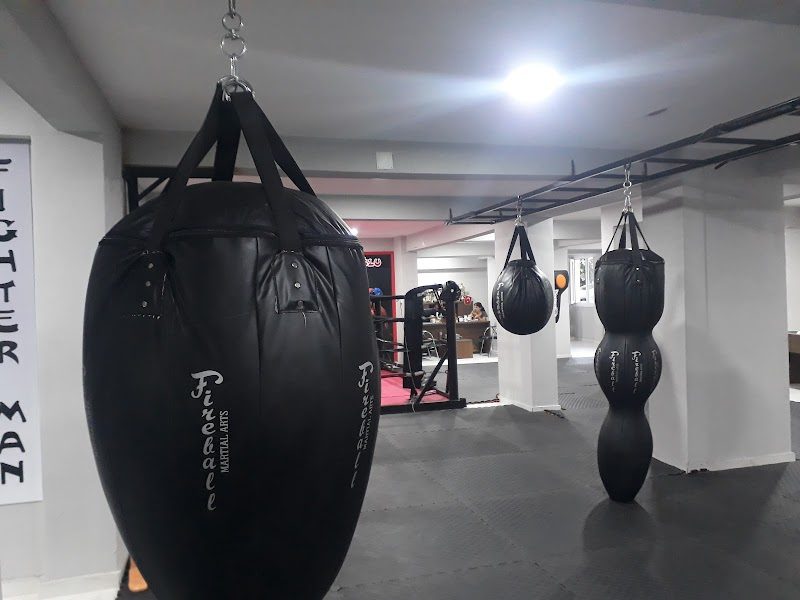 Aslanyürek Vip Fitness