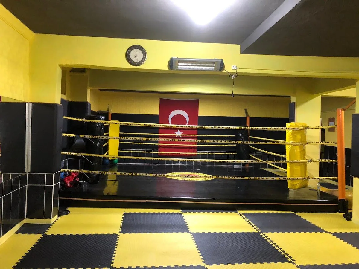 Ölmez Kick Boks Spor Kulübü