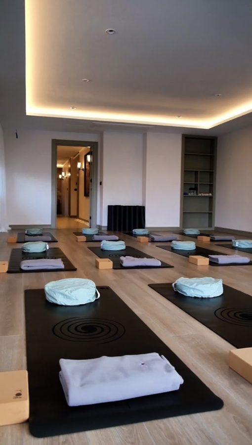 Yeliz Köker Yoga Enstitüsü